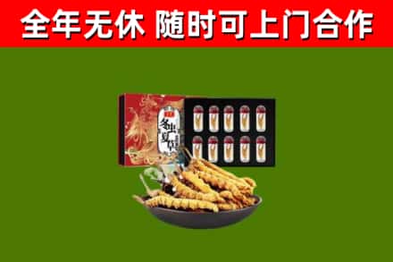 海盐县烟酒回收冬虫夏草礼盒.jpg